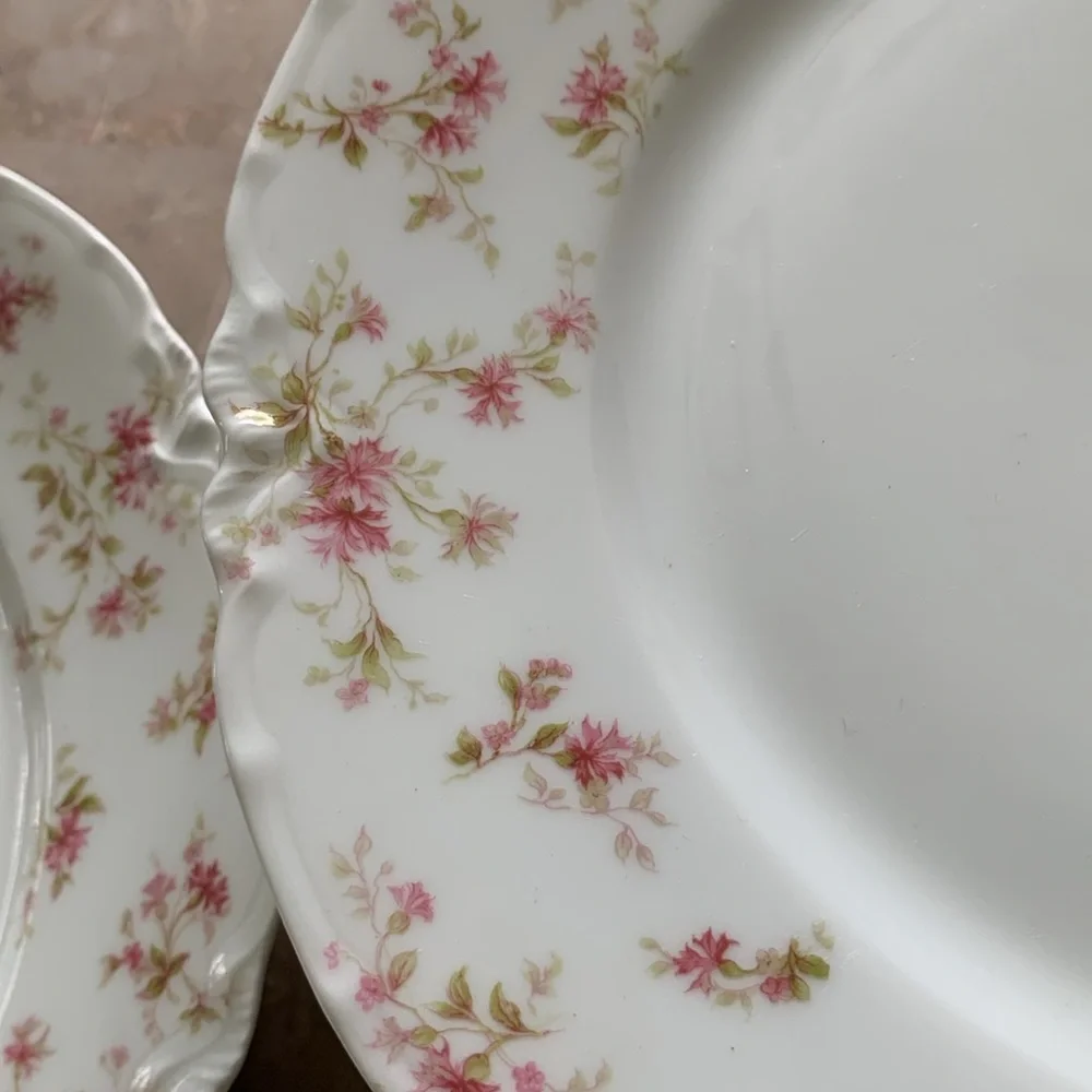 6 Vintage HAVILAND LIMOGES‎ France Fine China Pink FLOWERS 9 1/2